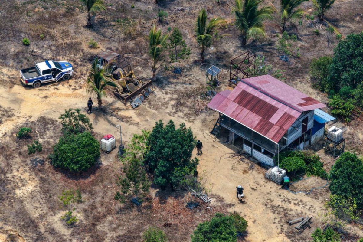 Menjaga Tahura Bukit Soeharto dari tekanan pembukaan lahan — NadiKabar.com