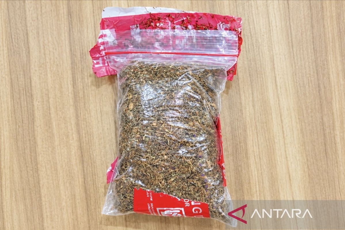 Polisi tangkap dua pria saat transaksi 102,63 gram tembakau sintetis — NadiKabar.com