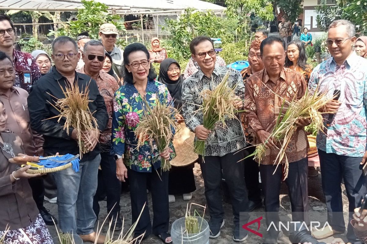 Yogyakarta optimalkan keterbatasan lahan untuk pertanian terpadu