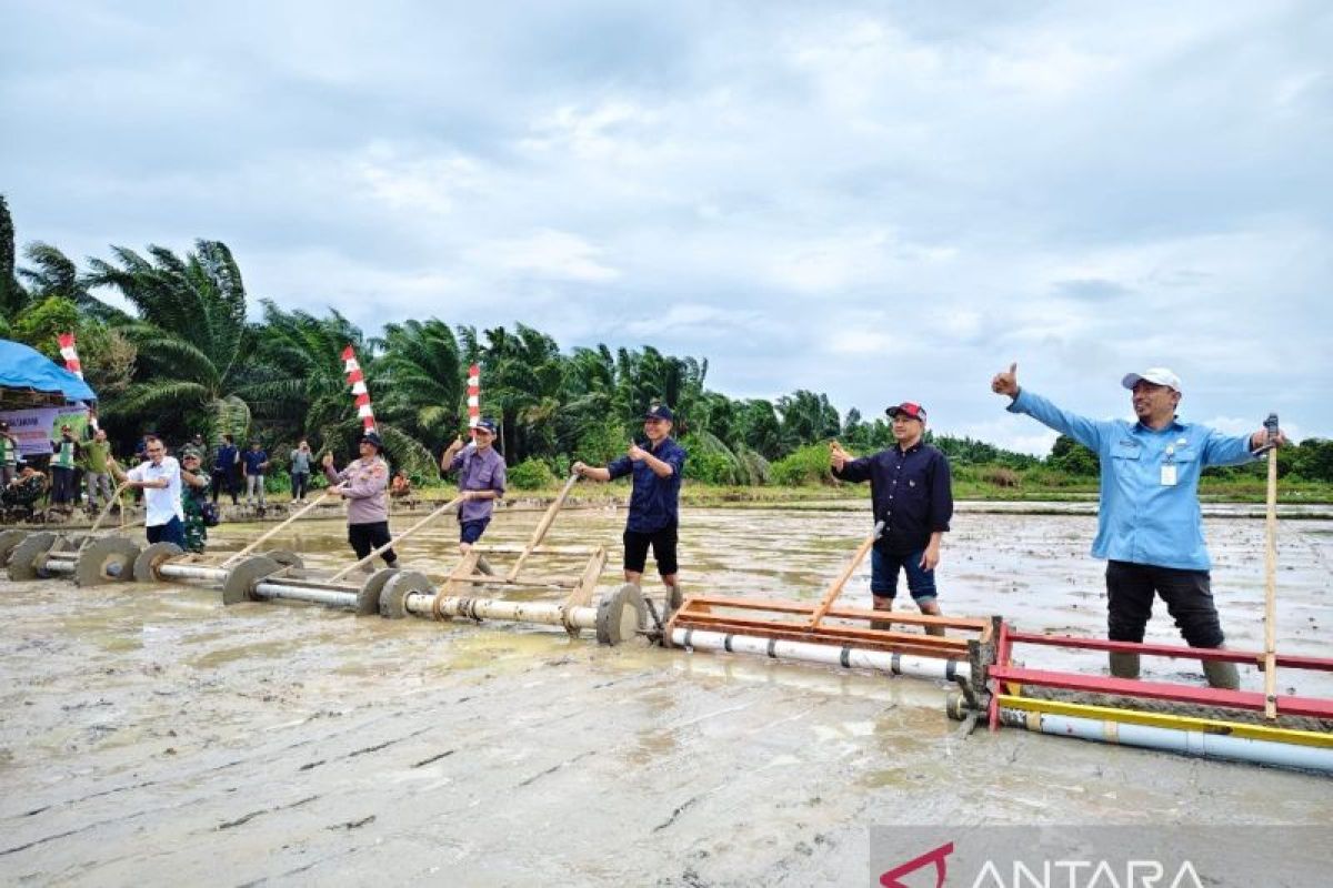 BRMP Aceh terapkan metode tanam padi modern seluas 314 hektare di Aceh Jaya - ANTARA News Aceh