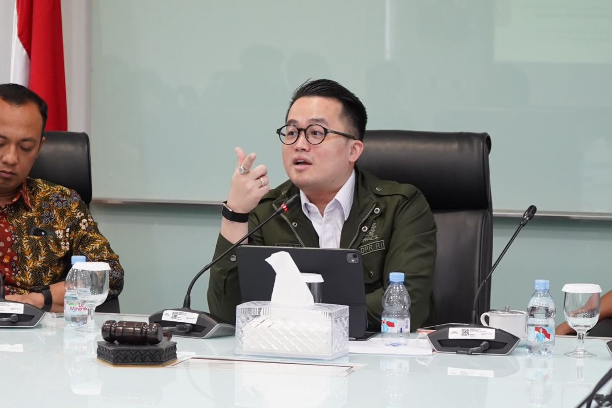 Anggota DPR kecam pidato PM Solomon di PBB: Abaikan aksi kekerasan OPM