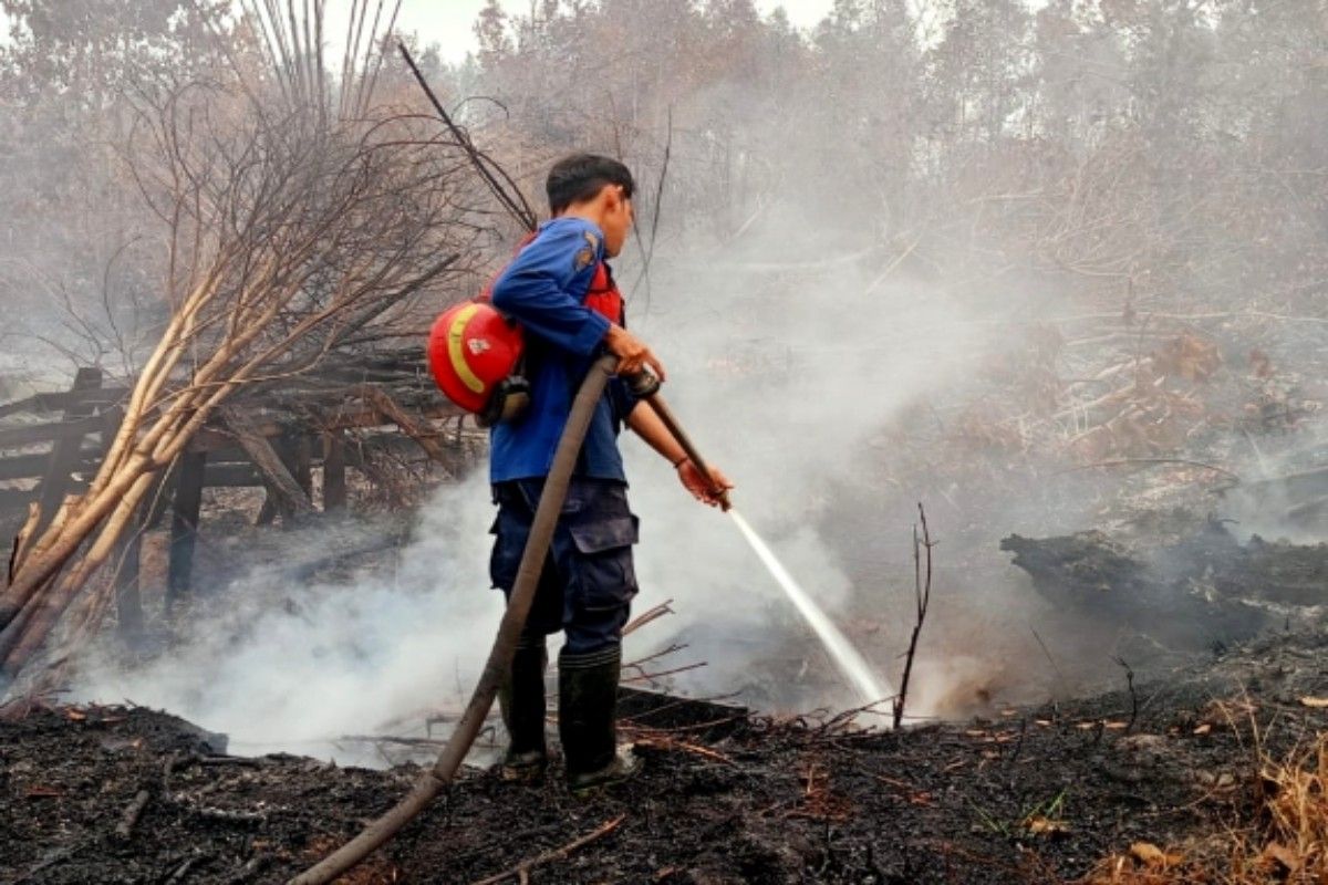 Karhutla, Kemenhut bekukan 13 izin dan cabut lima PBPH — NadiKabar.com