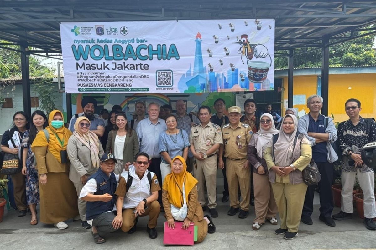 Penerapan Wolbachia di Cengkareng Jakbar capai 98 persen
