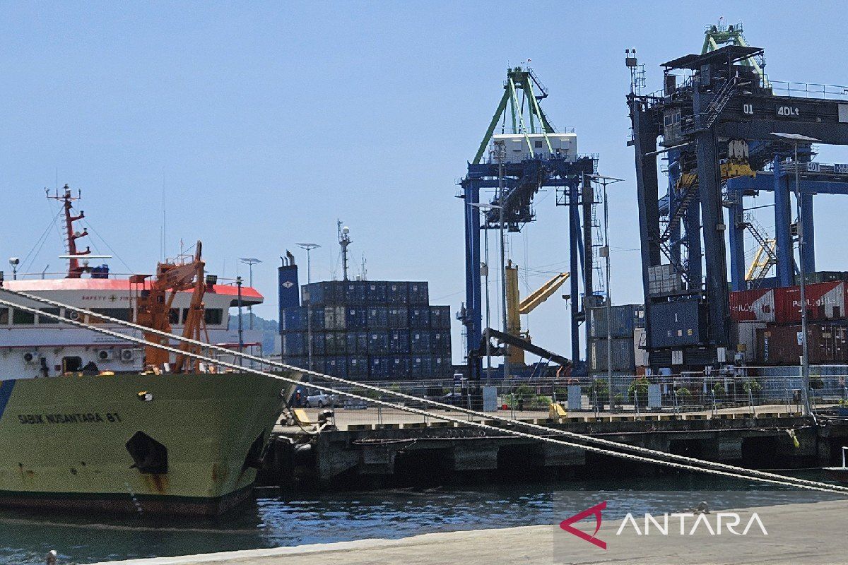 Pelindo pastikan kapasitas peti kemas Jayapura sesuai kebutuhan