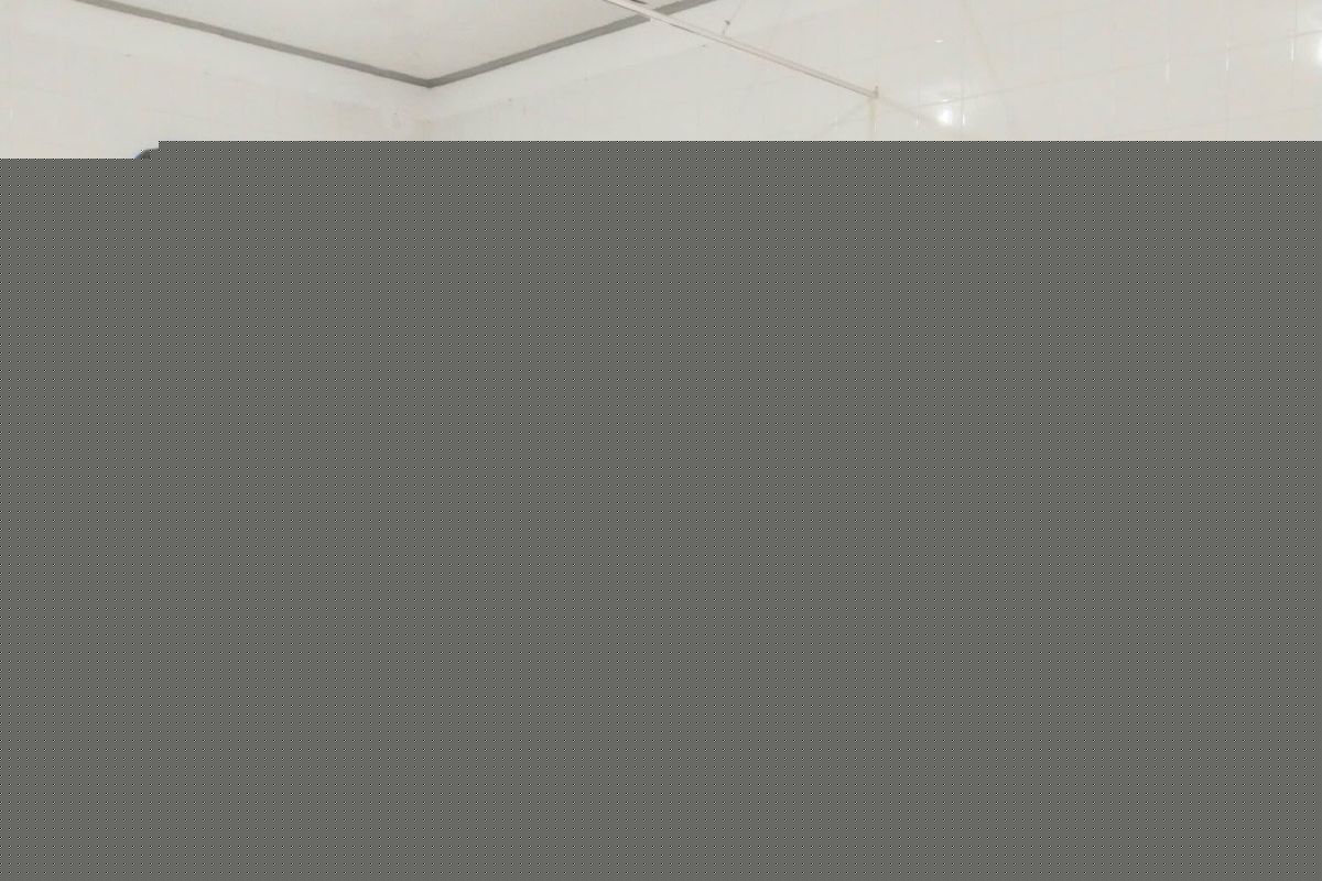 Basarnas: SRU darat temukan 4 korban KM Virgo di Kalteng hari ke-18 — NadiKabar.com