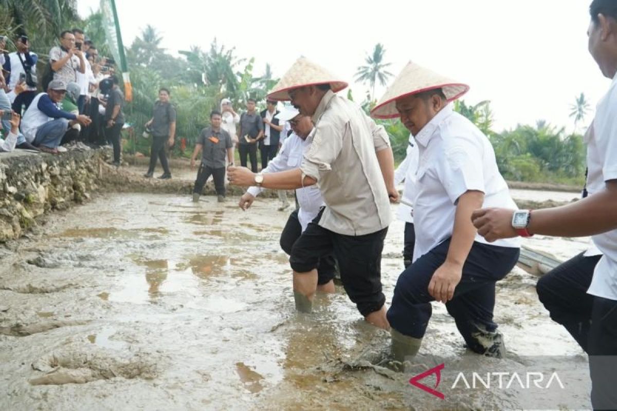 Pemerintah pusat wujudkan swasembada pangan dan air melalui PM-AAS — NadiKabar.com