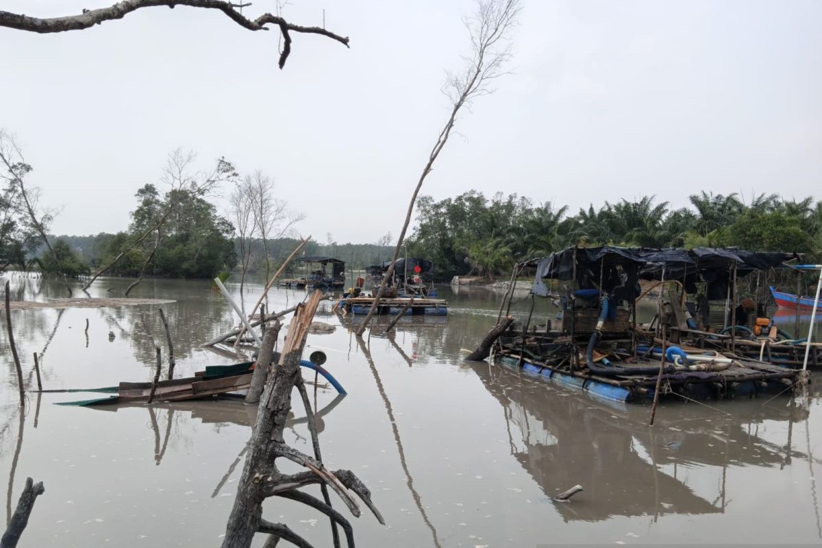 Polisi hentikan tujuh tambang timah tanpa izin di sungai Bangka — NadiKabar.com