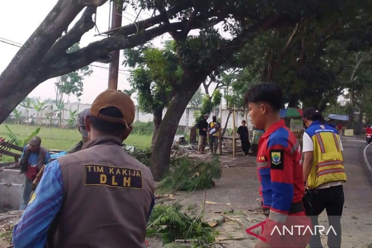 Pencegahan Pohon Tumbang, DLH Cianjur Intensifkan Pangkas Dahan Rawan