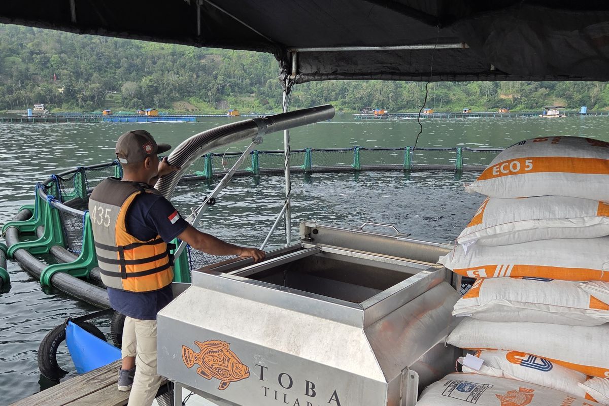Bappenas kembangkan "blue food" guna dongkrak konsumsi ikan