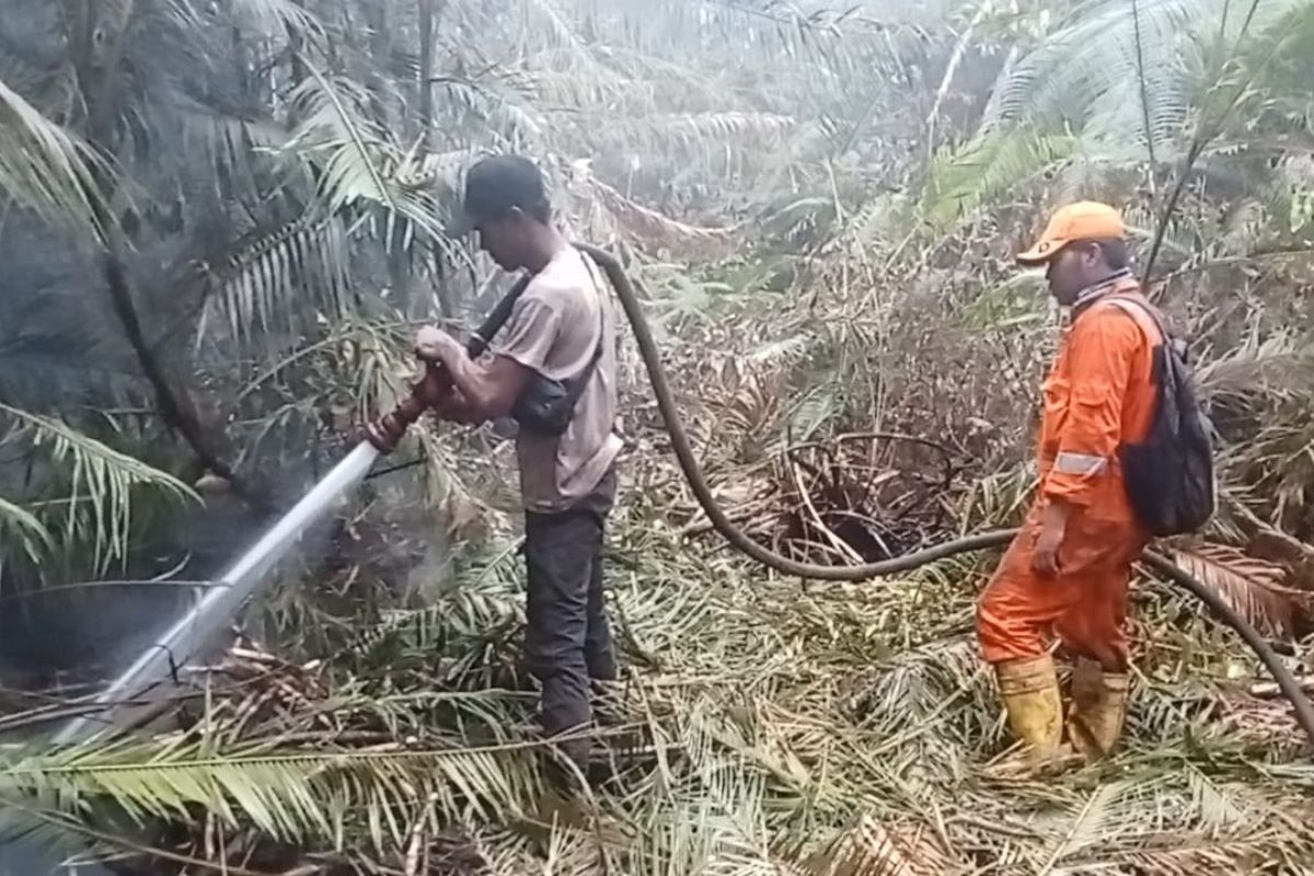 Pemkab Lingga larang pembukaan lahan dengan cara dibakar untuk cegah karhutla