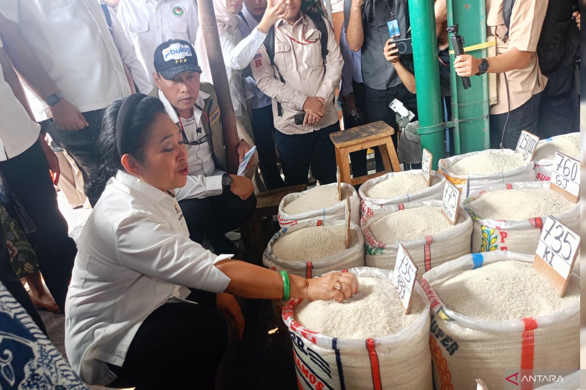 Bulog sebut harga beras hingga picu inflasi terjadi saat paceklik — NadiKabar.com