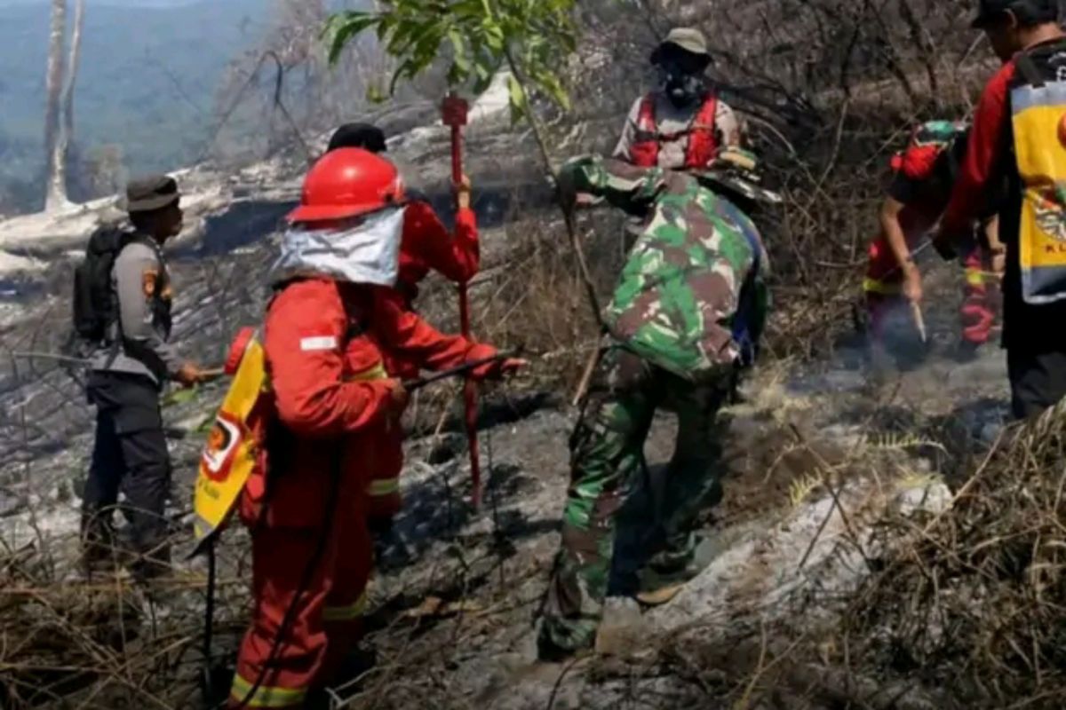 Jalur pendakian Senaru Gunung Rinjani kembali dibuka — NadiKabar.com