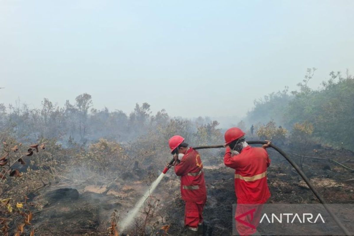 Manggala Agni masih lakukan pemadaman karhutla di Gelumbang — NadiKabar.com