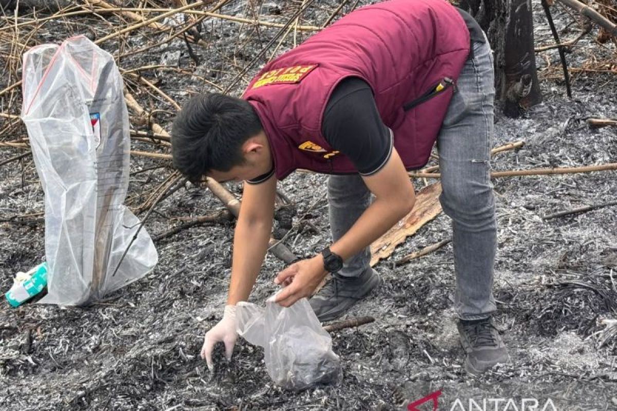 Polres OKU Selatan selidiki penyebab karhutla di Buay Pemaca — NadiKabar.com