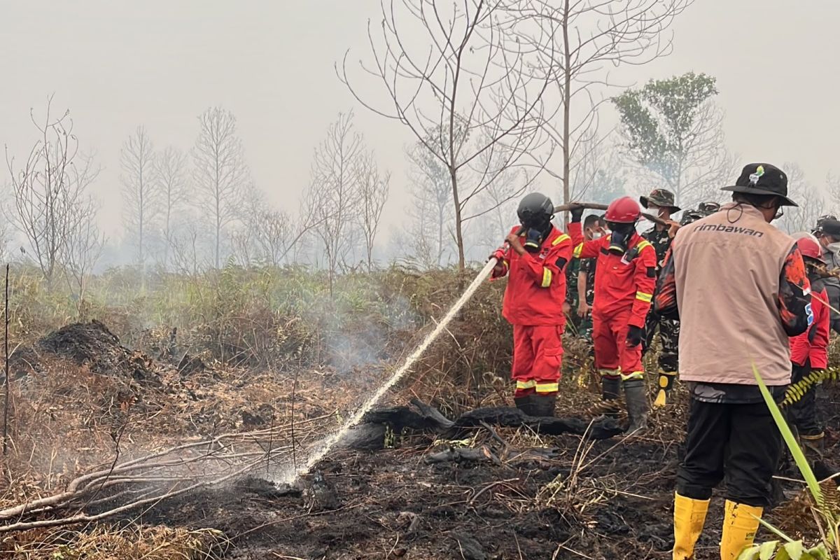BPBD Kalbar masih fokus tangani karhutla di Ketapang dan Kayong — NadiKabar.com