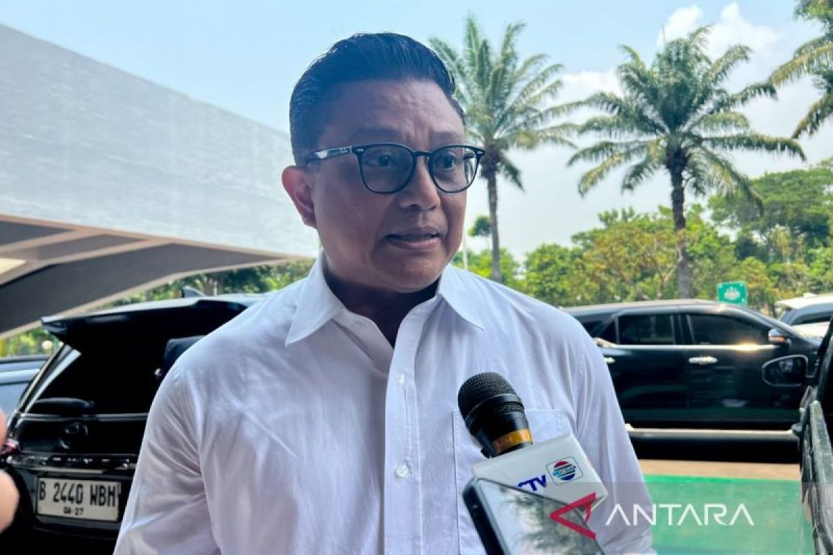 Pasokan Beras Premium Aman Usai Penarikan Produk Curang