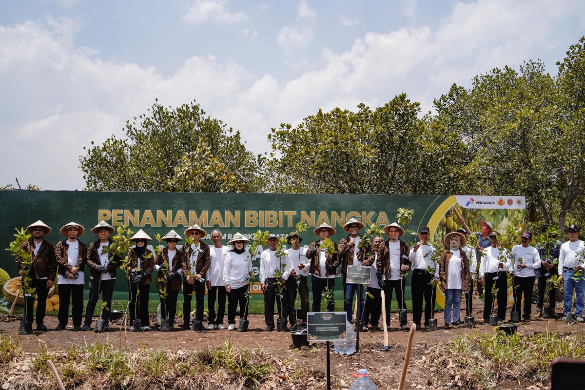 Pertamina gelar panen raya nangka, perkuat ekonomi desa di Gunungkidul — NadiKabar.com