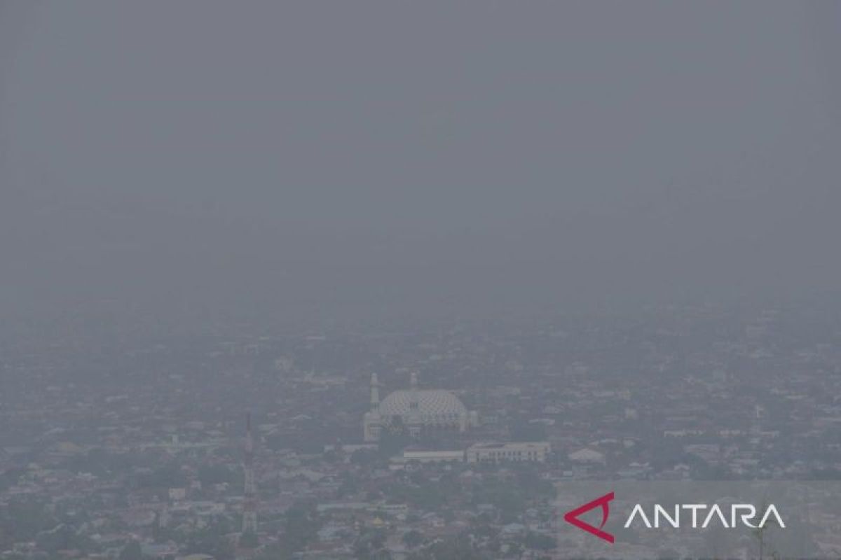 BMKG: Kabut asap di Kota Palu dipicu dampak karhutla regional