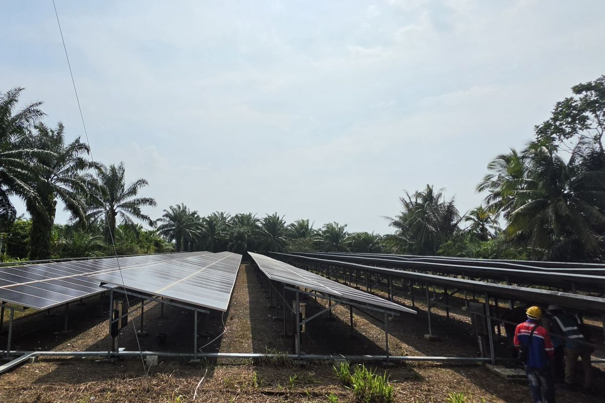 PLN perluas energi bersih melalui PLTS Sebatik 150 kWp — NadiKabar.com