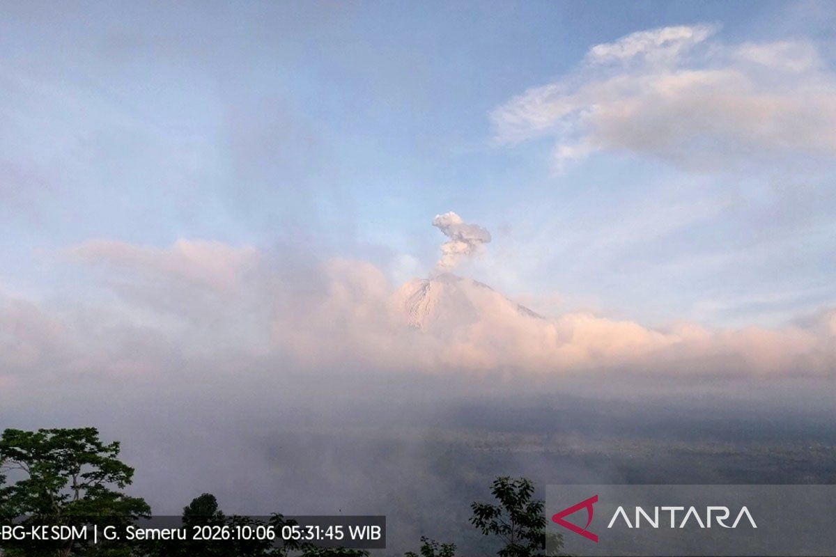 Semeru Erupsi, Semburkan Abu Vulkanik Setinggi 900 Meter
