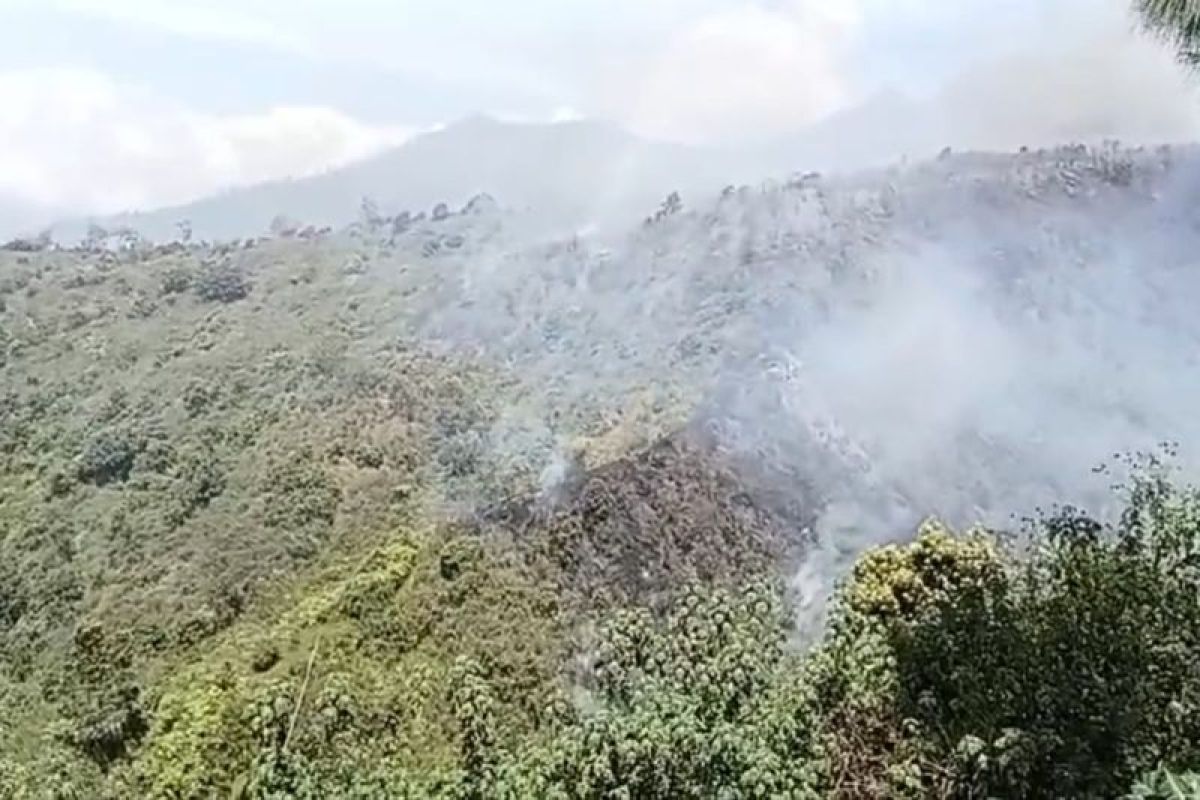 Karhutla kembali terjadi di kawasan TNBTS wilayah Lumajang — NadiKabar.com