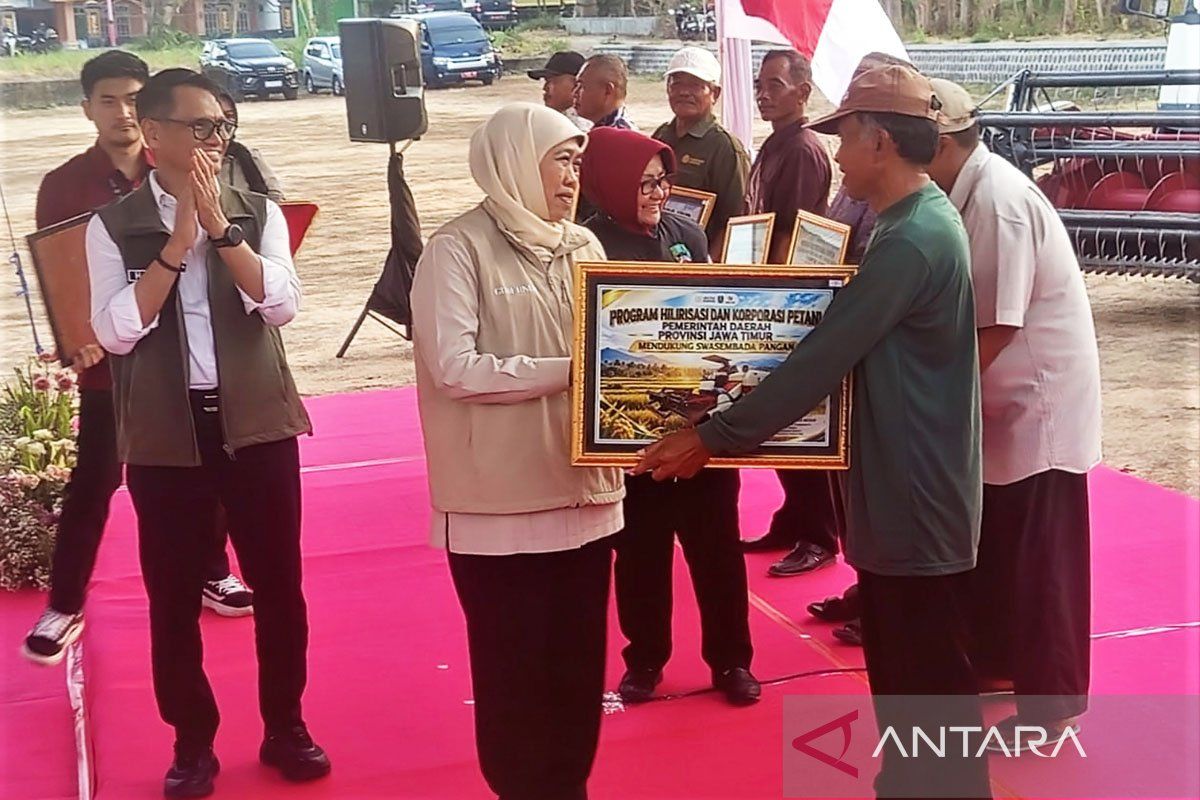 Produksi padi Jatim diprediksi 10,2 juta ton GKG hingga November 2026 — NadiKabar.com
