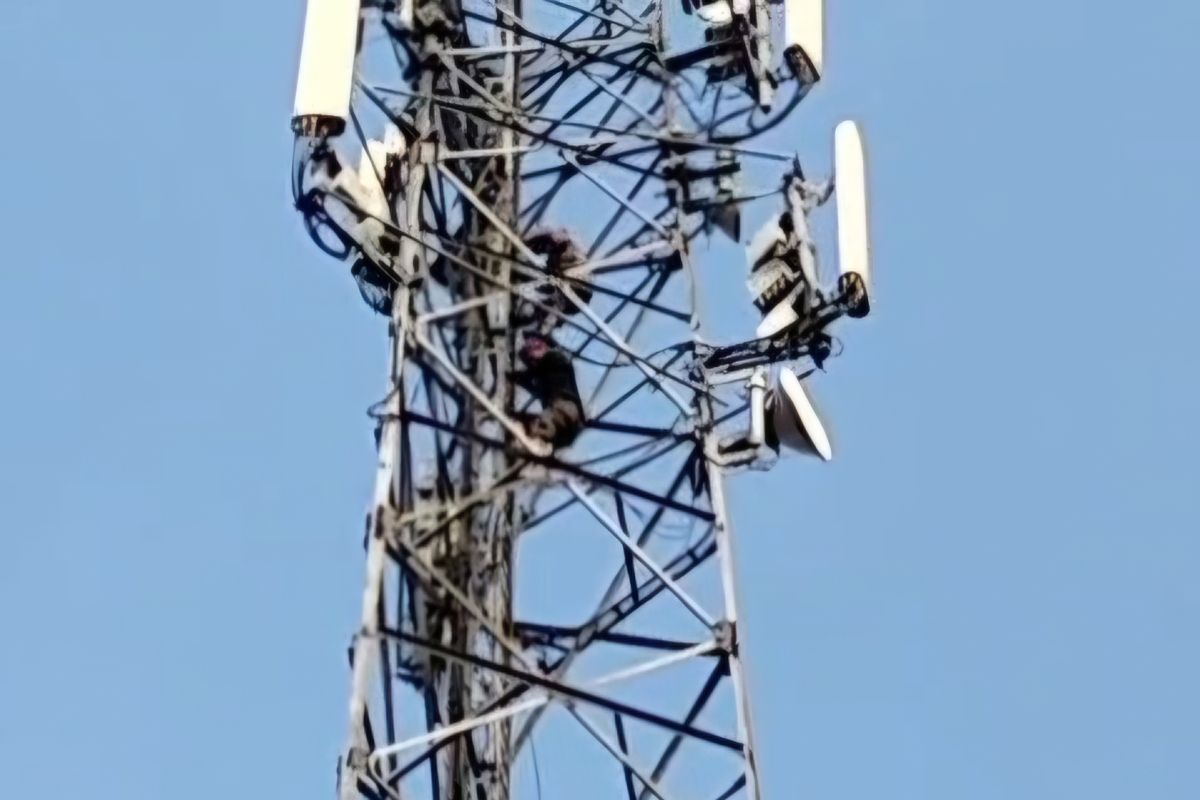 Polisi amankan dua terduga pencuri kabel menara seluler di Cicalengka — NadiKabar.com