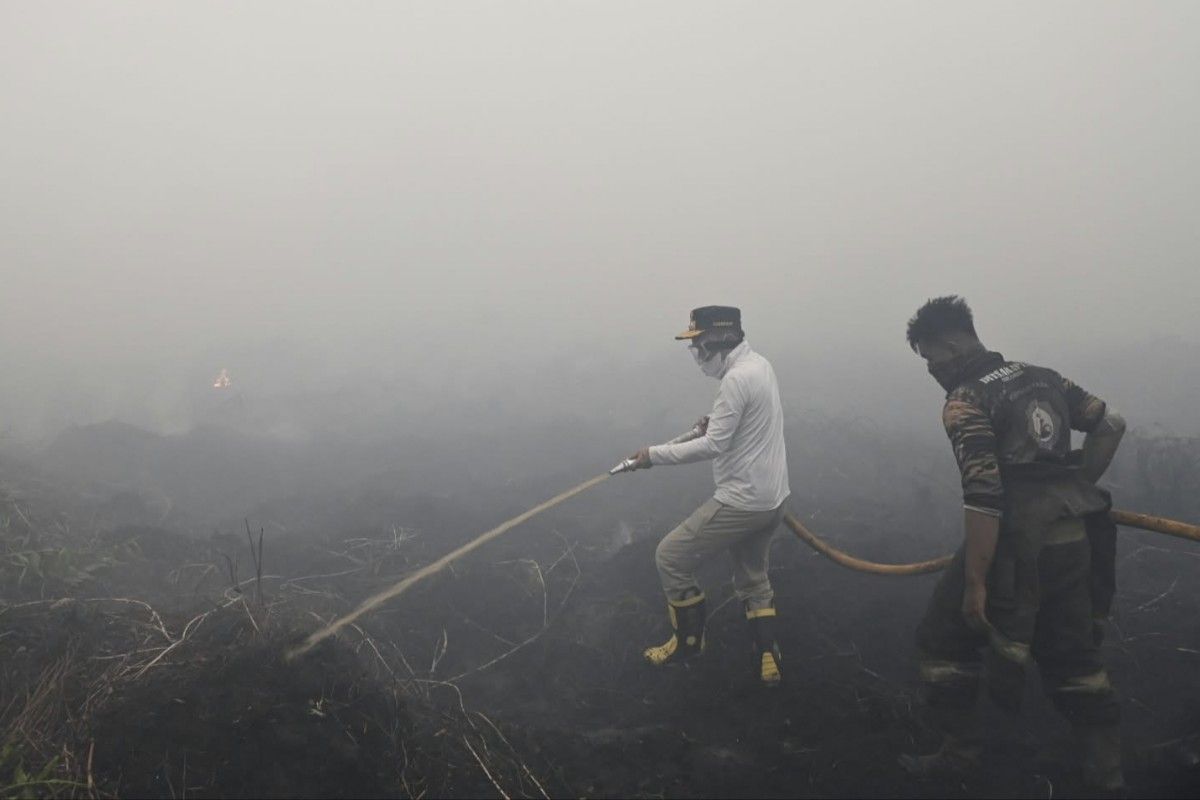 Gubernur berjibaku padamkan kebakaran lahan di Kotawaringin Barat