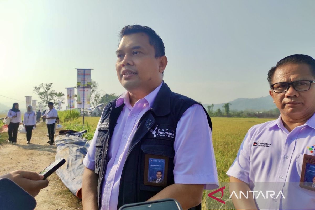 Pupuk Indonesia siapkan stok 350 ribu ton untuk Sulawesi Maluku Papua