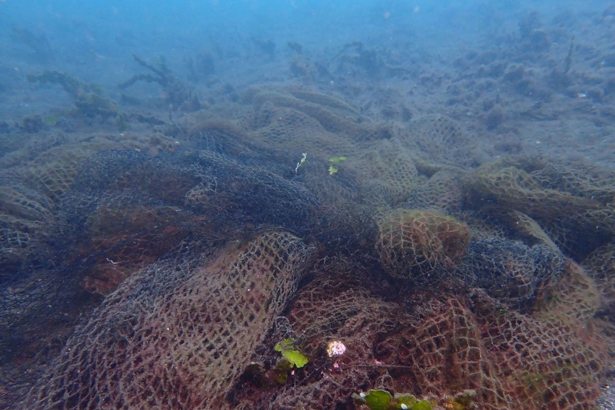 Aturan Baru KKP Tata Alat Tangkap Ikan di Laut