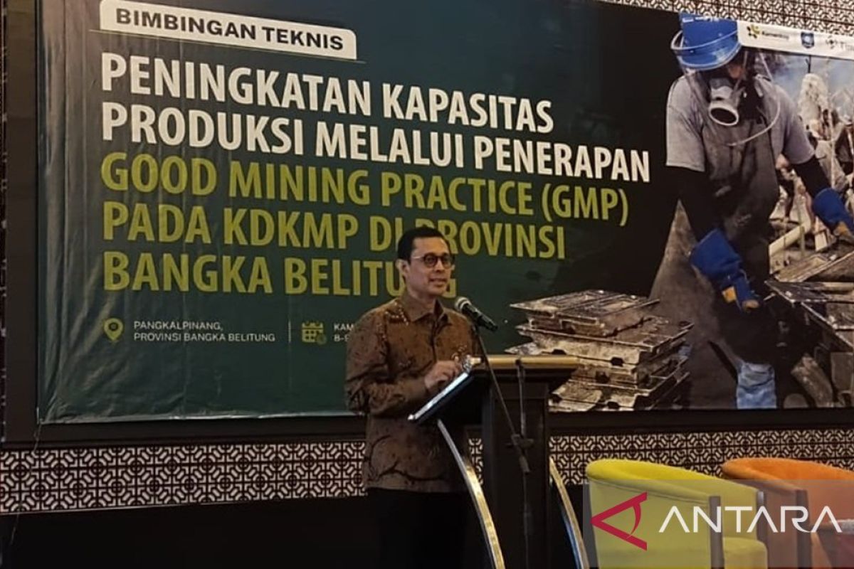 Kemenkop - PT Timah tingkatkan kapasitas KDKMP kelola tambang — NadiKabar.com