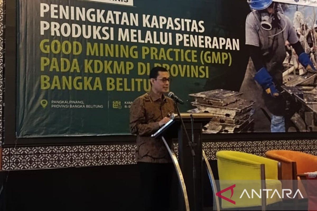 Kemenkop perbanyak KDKMP kelola tambang timah di Babel — NadiKabar.com