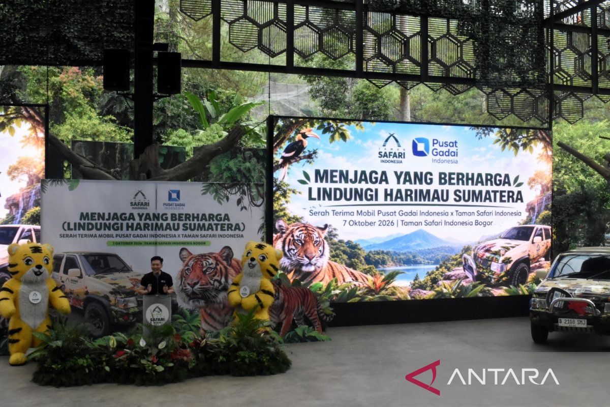 Kolaborasi dukung pelestarian harimau Sumatra di Taman Safari Indonesia