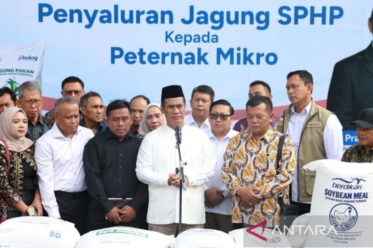 Distribusi Jagung SPHP Dikebut demi Bantu Peternak