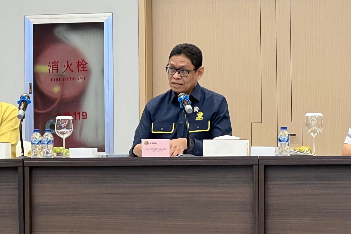 ESDM bidik pengembangan tahap II PLTA Batang Toru sebesar 160 MW