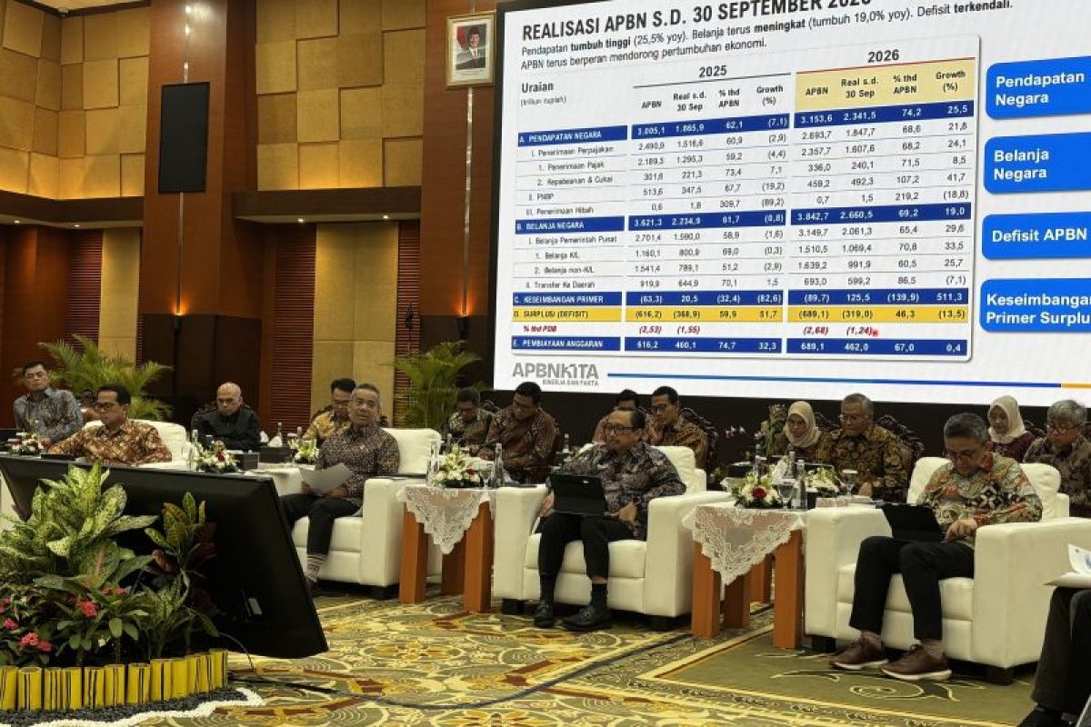 Menkeu Suahasil rinci pembagian tugas tiga wamenkeu