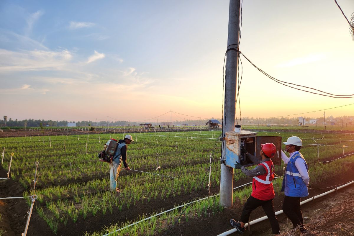 Konsistensi PLN Sulselrabar Perluas Cakupan Program EA