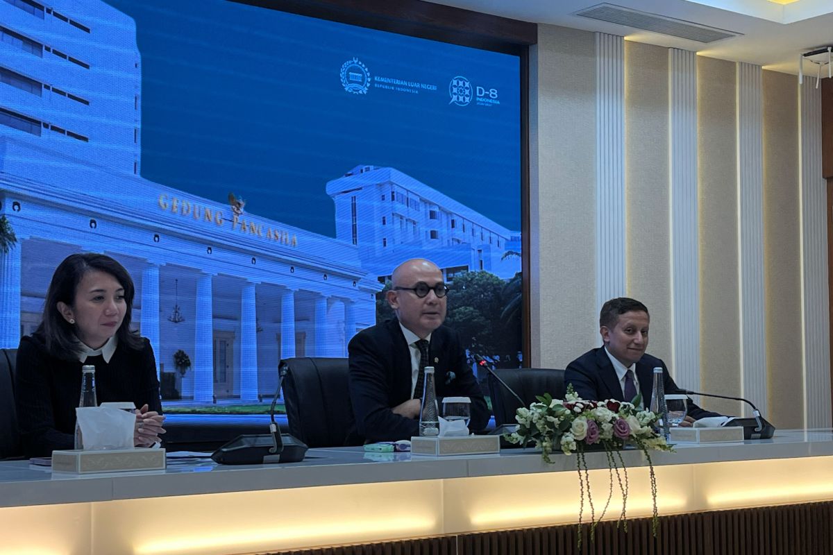 Indonesia reaffirms unwavering diplomatic support for Palestine