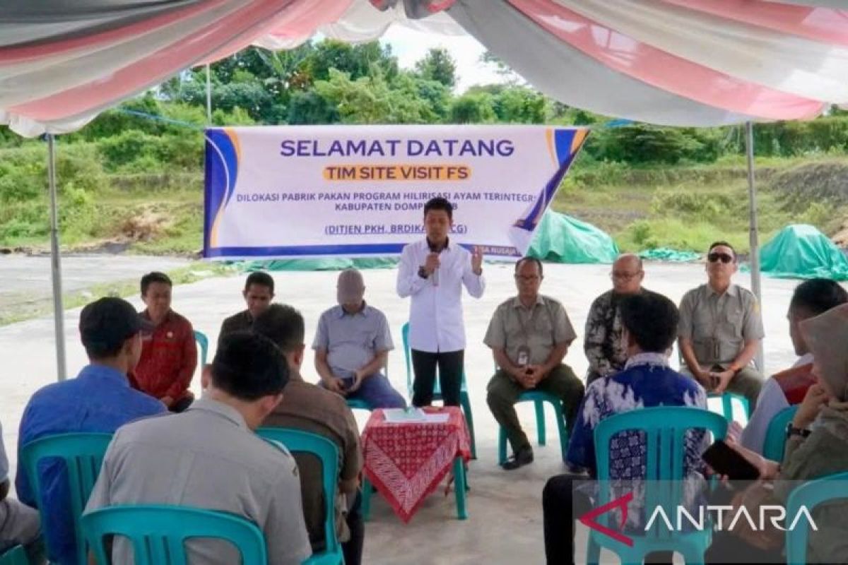Proyek hilirisasi ayam berpotensi serap jagung di Kabupaten Dompu
