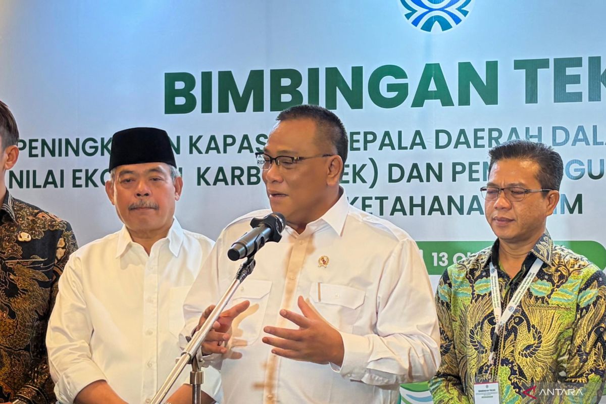 Menteri LH ajak BUMD kembangkan bisnis karbon untuk pendapatan daerah — NadiKabar.com