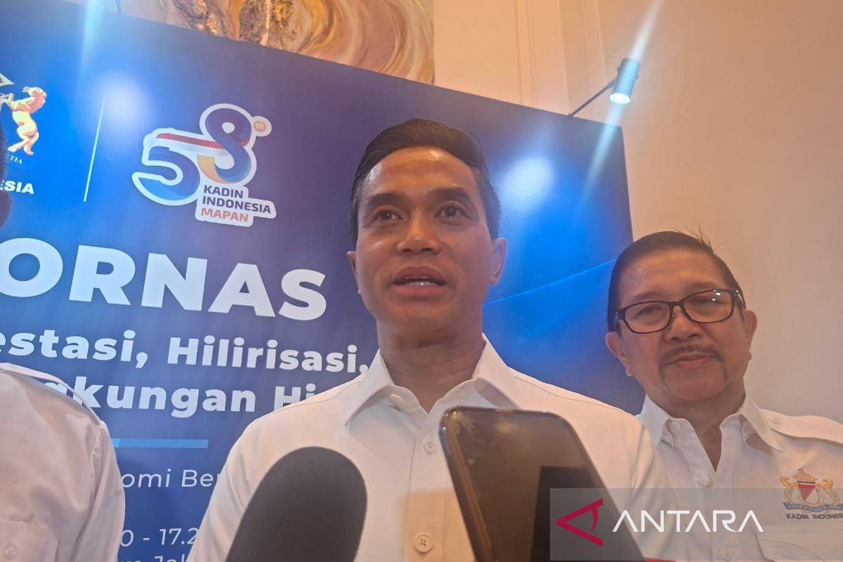 Kadin: RUU Kadin untuk dongkrak kapasitas UMKM Indonesia