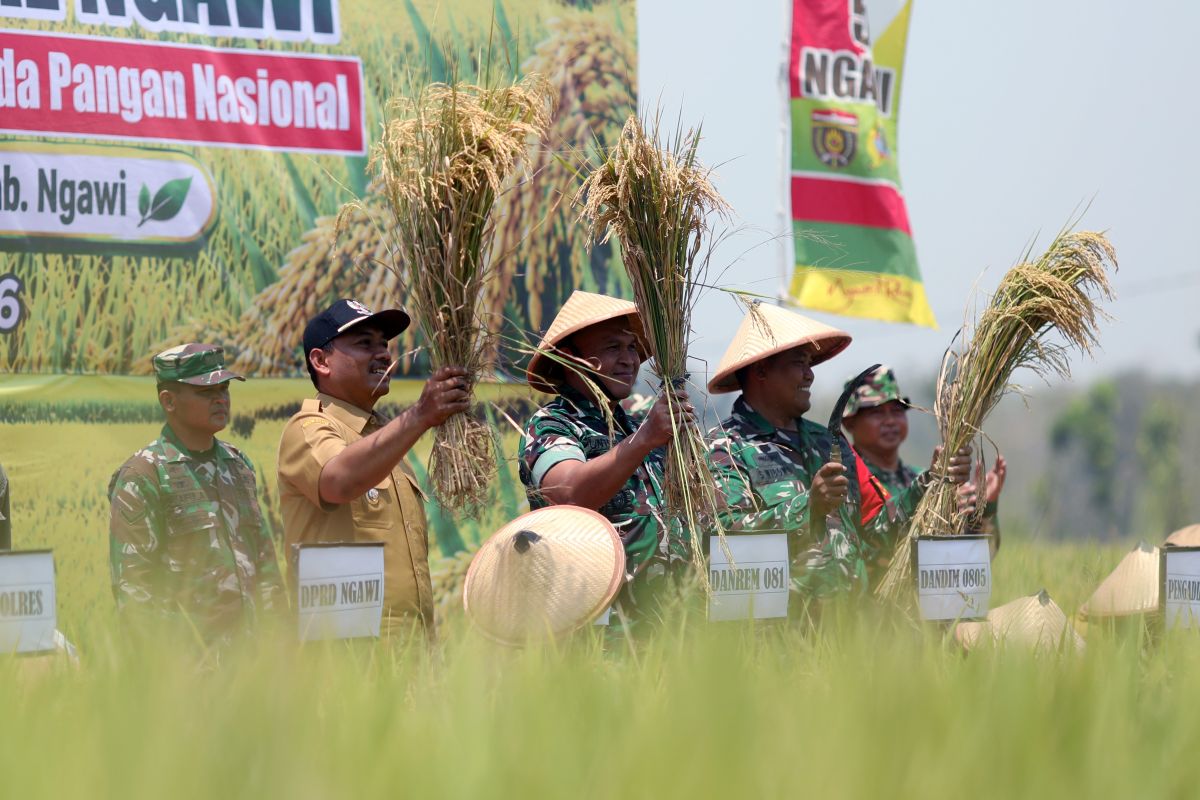 Pemkab Ngawi dorong percepatan sertifikasi benih padi unggul lokal