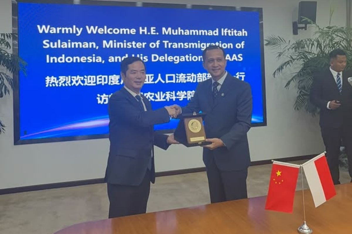 Mentrans sambut tawaran kerja sama riset padi di Merauke dengan China