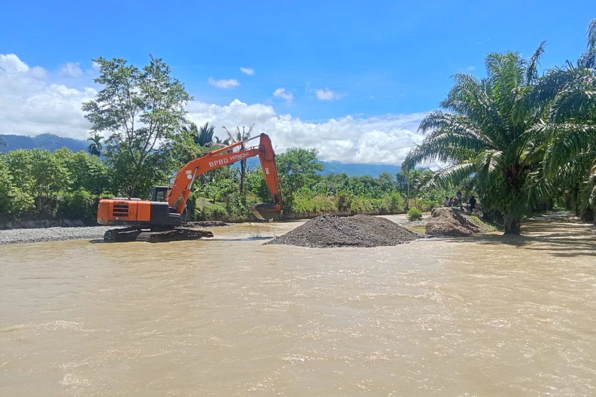 BPBA: 153,7 hektare lahan pertanian terdampak banjir di Aceh Tenggara — NadiKabar.com