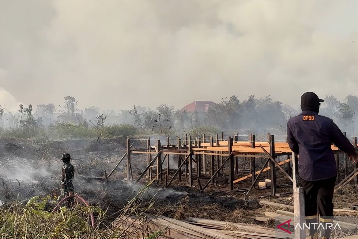 Ilustrasi berita Nasional: Karhutla di enam provinsi, pemerintah kerahkan 60 ribu personel