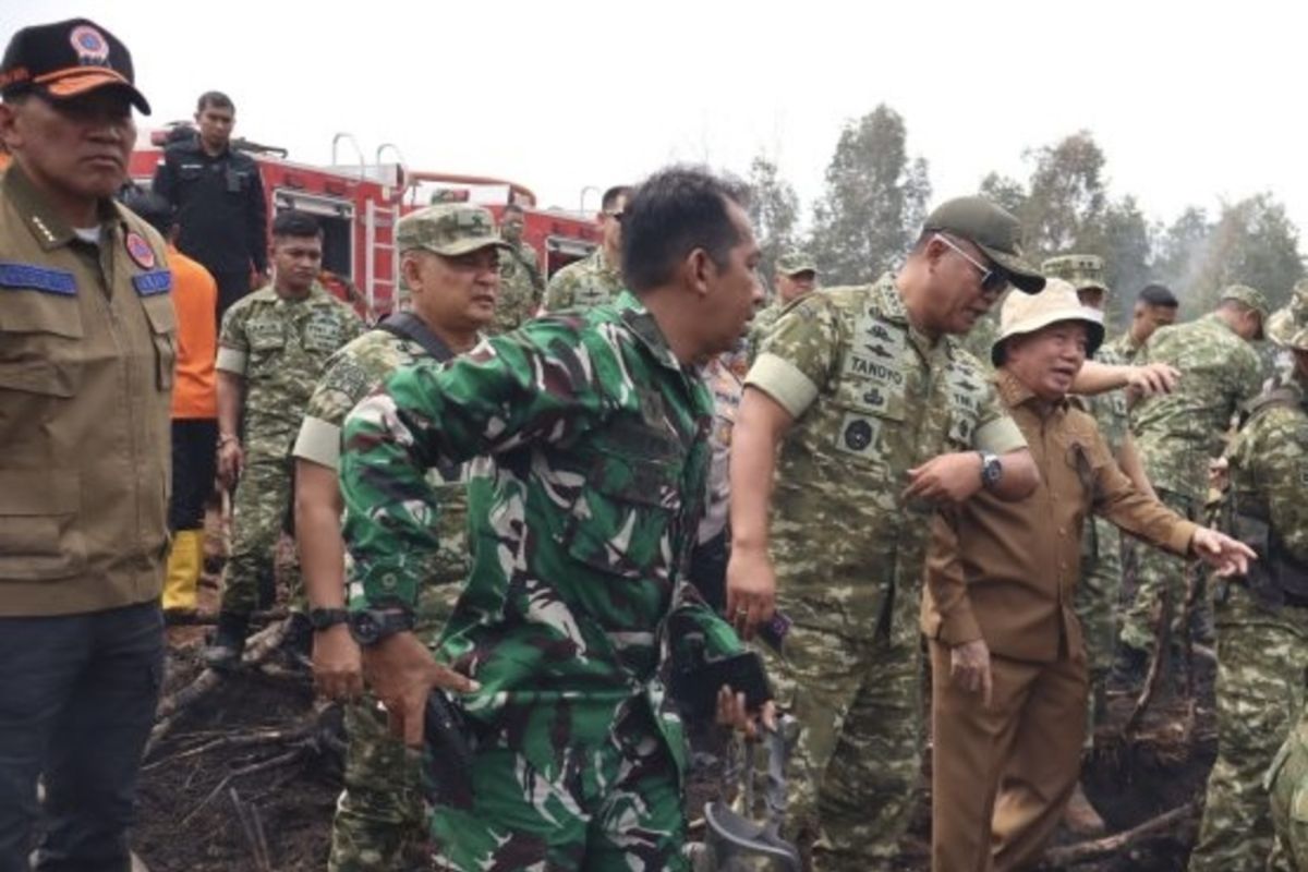 Pemprov Kalsel minta bantuan atasi karhutla ke BNPB untuk 6 kabupaten — NadiKabar.com