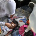 Dengue fever endemic in Malang