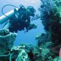 Indonesia ditargetkan jadi surga penyelam dunia 