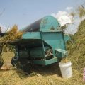 Produksi padi Mura capai 118.597 ton