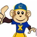 Beruk maskot Porprov Sumsel